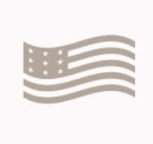 Silhouette of a waving American flag in a neutral color.