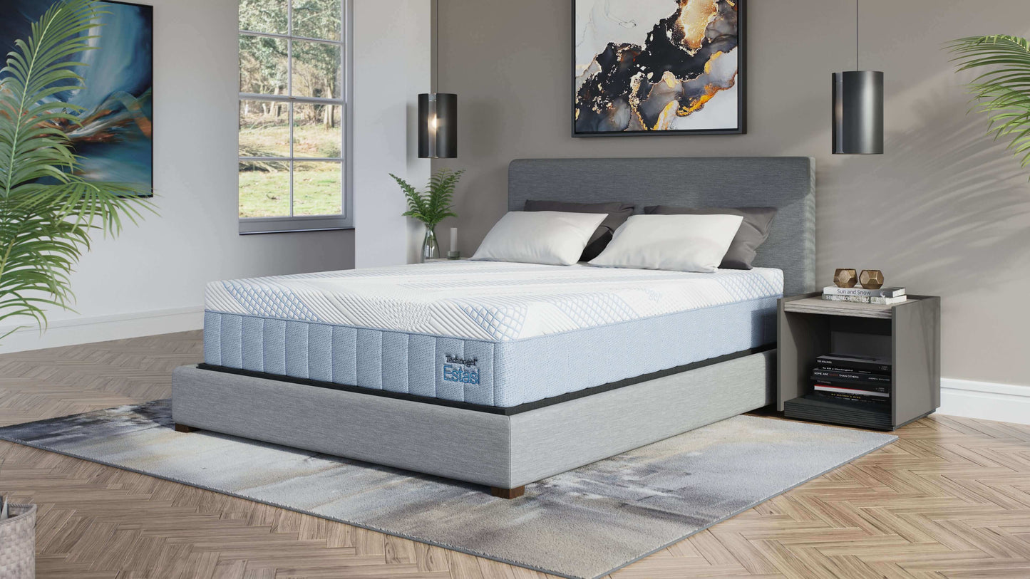 Diamond Technogel® Technology Estasii 12" Plush Foam Mattress displayed in a modern bedroom setting with natural light.