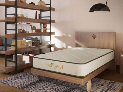 Harvest Green GOTS Certified 10" mattress on a wooden bed in a stylish bedroom setting with natural decor.