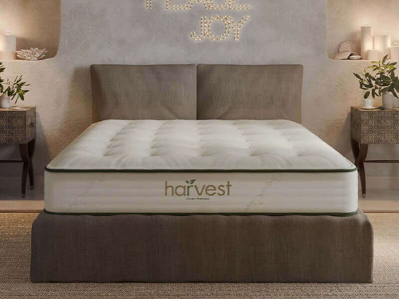 Harvest Original Vegan Firm GOTS certified 11" Mattress