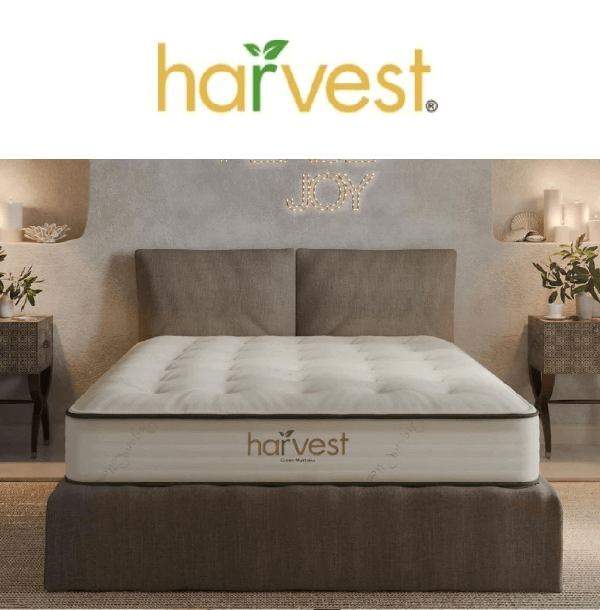 Harvest mattress displayed in a stylish bedroom setting, emphasizing comfort and modern design elements.
