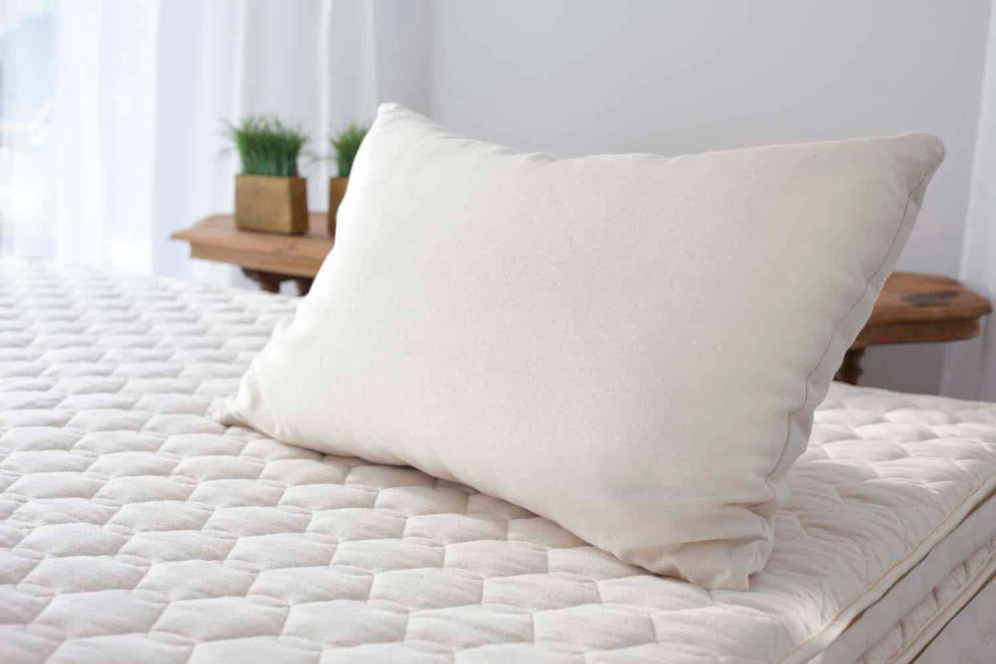 Queen Savvy Rest Organic Soft Kapok Pillow