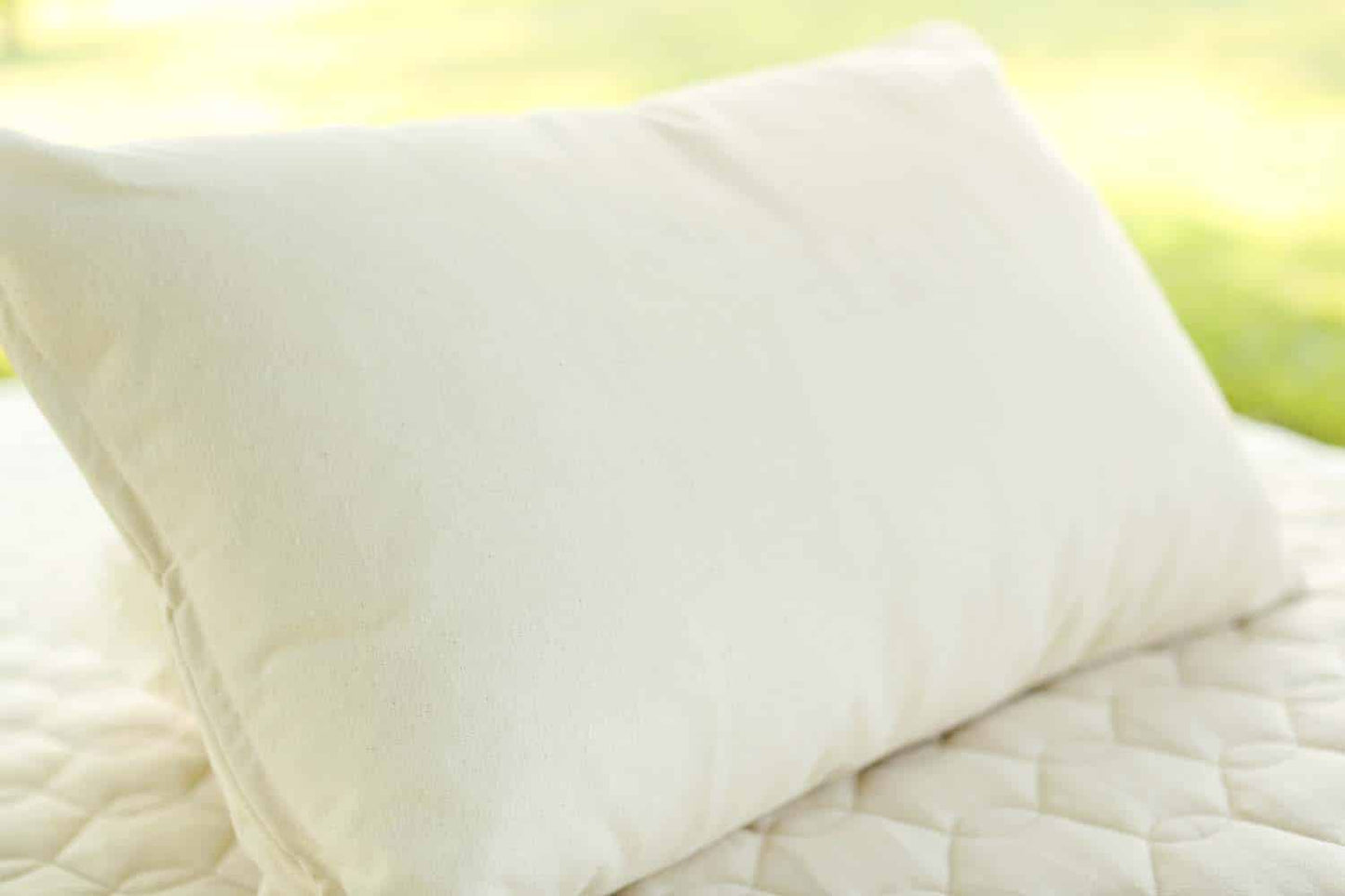 Queen Savvy Rest Organic Soft Kapok Pillow