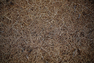 Close-up of natural coconut fiber coir, used for breathable mattress rugs to enhance airflow under mattresses.
