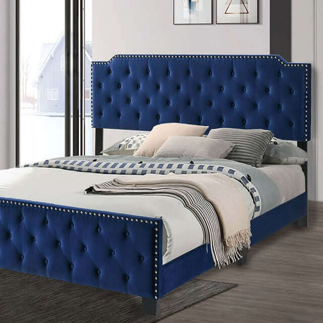 Charlize Navy tufted contemporary bed with button detail and nailhead trim, enhancing bedroom luxury and comfort.
