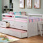 Anisa White Rustic Loft Bed.