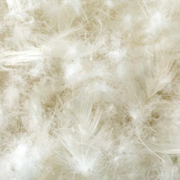 Soft feather and down blend filling showcasing plush comfort for pillows.