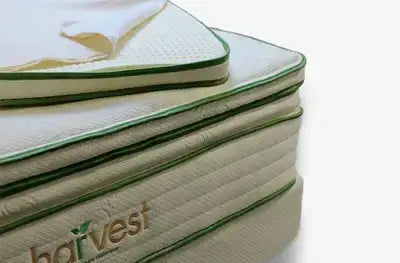 Harvest Green Firm Natural Latex Mattress with Vegan Wool Topper showcasing plush layers and organic materials.