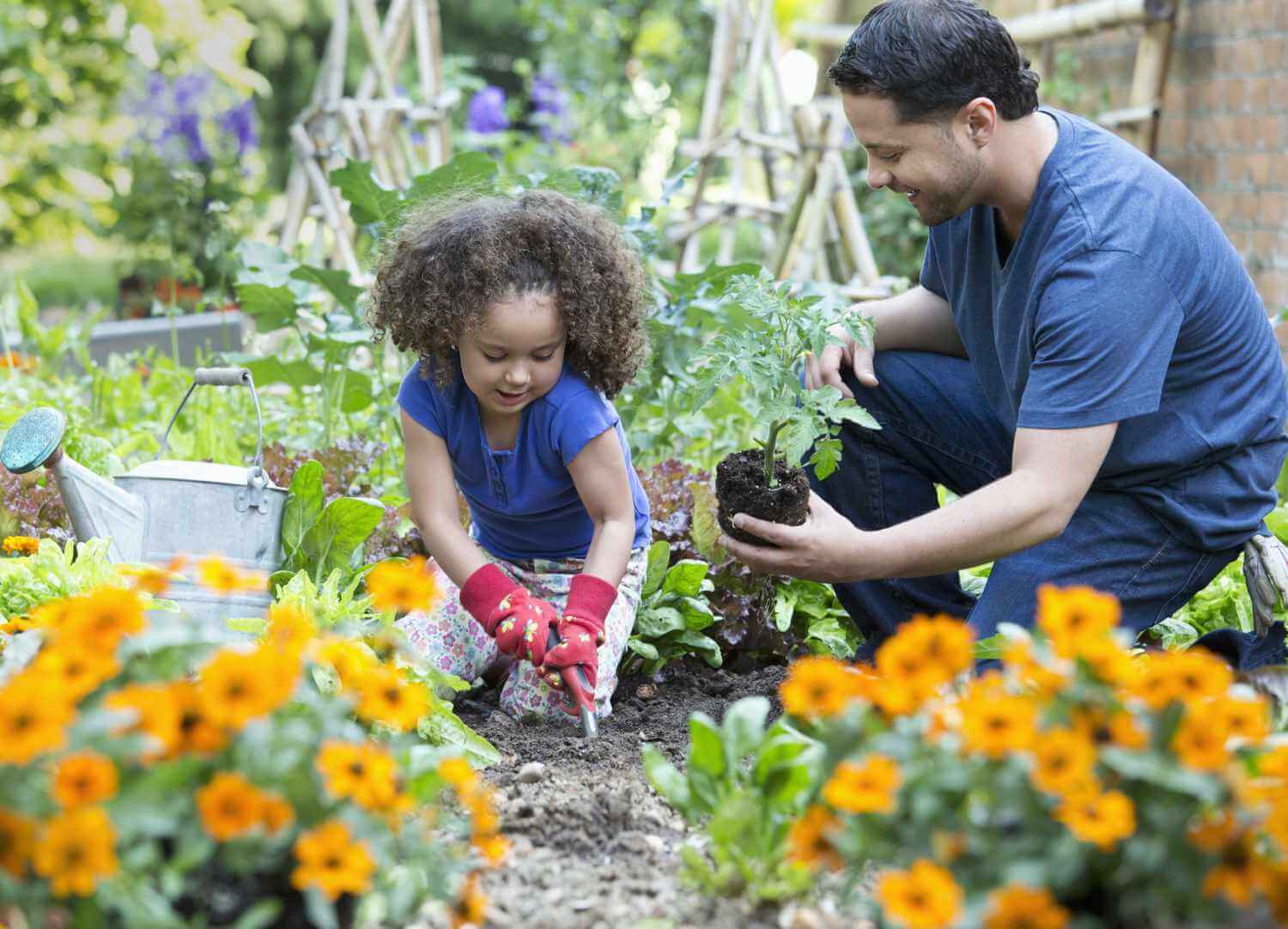 Why Gardening May Help You Sleep Better