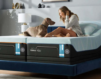 Types Of Mattresses Guide