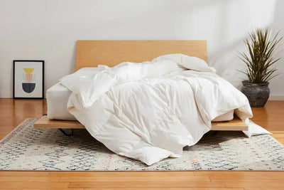 Down Vs Down Alternative: Which Comforter is Best For You?