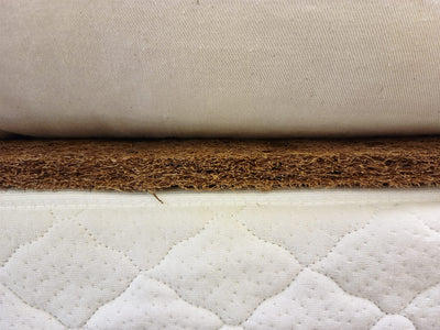 What is Coir? Facts (Pros & Cons)