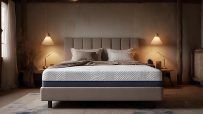 Mattress Store Near Me – Why Choosing the Right One Matters