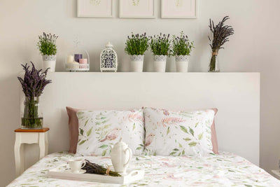 Elevate Your Sleep with Bedroom Plants: A Comprehensive Guide