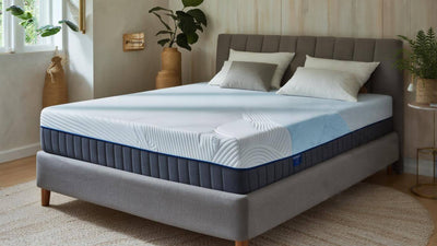 Is Latex Mattresses the Best Mattress for West Hollywood?