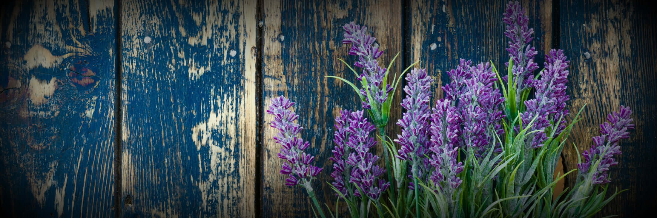 Can Lavender Really Help You Sleep Better?