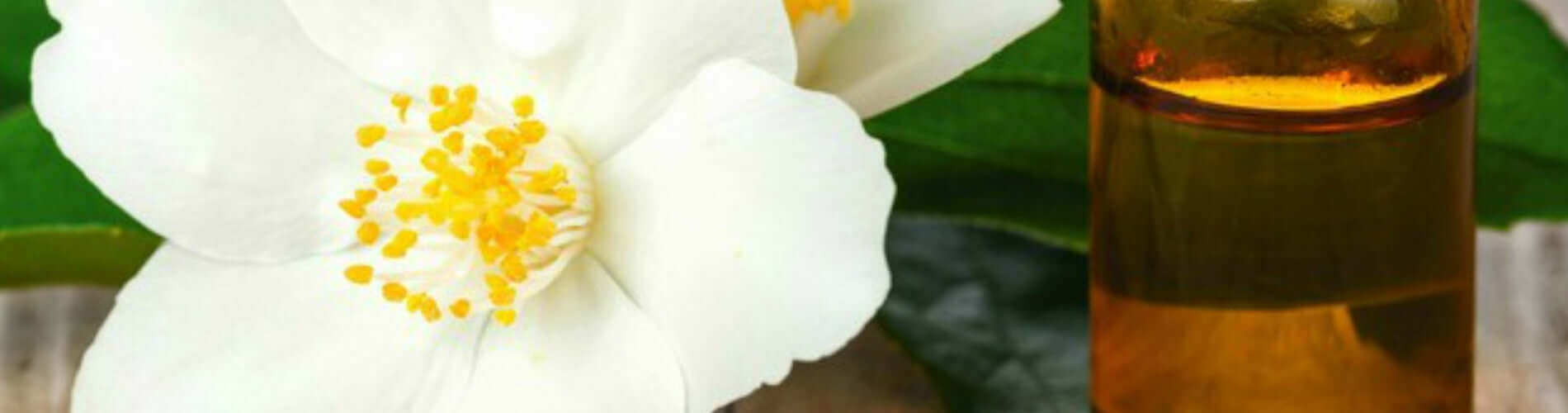 Sleep Scents: Jasmine