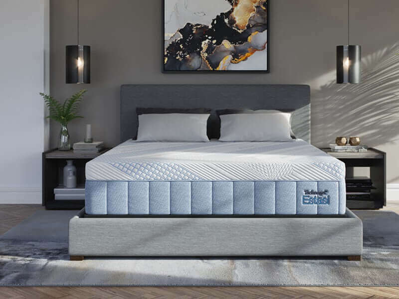 Diamond Technogel® Estasii 12" Plush Foam Mattress in modern bedroom setting with stylish decor and soft bedding.