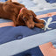 Stearns & Foster Reserve® Duet™ 17" Mattress
