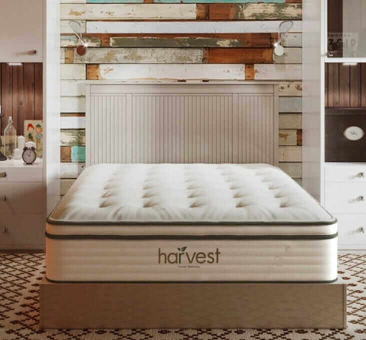 Harvest Green Plush Vegan GOTS certified Pillow Top 13" Mattress.