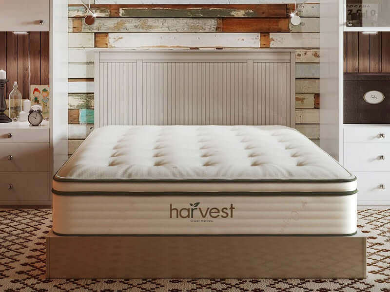 Harvest Green Plush Vegan GOTS certified Pillow Top 13" Mattress