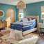 Stearns & Foster Reserve® Duet™ 17" Mattress
