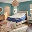 Stearns & Foster Reserve® Duet™ 17" Mattress