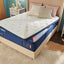 Stearns & Foster Reserve® Duet™ 17" Mattress