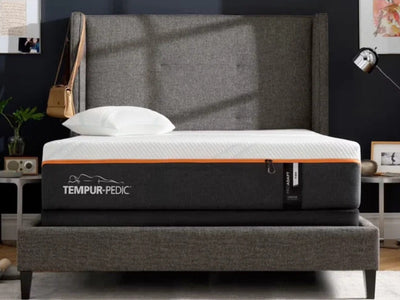 Queen Tempur-Pedic TEMPUR-ProAdapt® Firm 12" Discontinued Floor Model Clearance Mattress