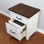 Alyson Night Stand With Usb Plug In Distressed White and Walnut