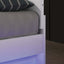 Erlach Queen Bed In White and Chrome