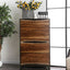Fulton Dark Oak and Dark Walnut Chest