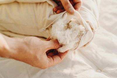 Close-up of hands showing organic kapok filling inside a soft pillow, highlighting its natural materials.