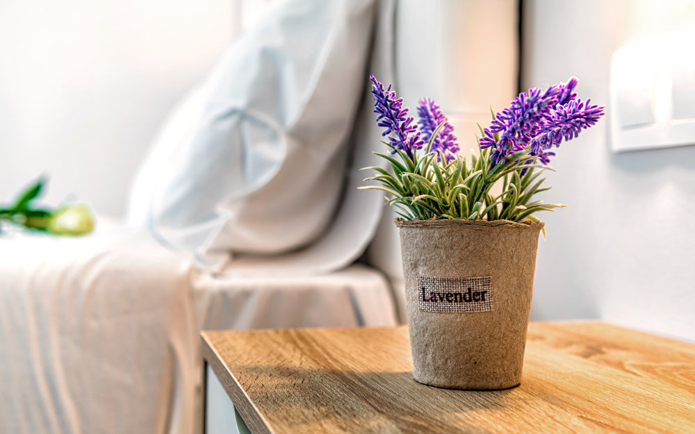 lavander-plant-on-bedside-table