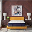 Stearns & Foster Lux Estate® Cassatt Firm Euro Pillow Top 15" Mattress