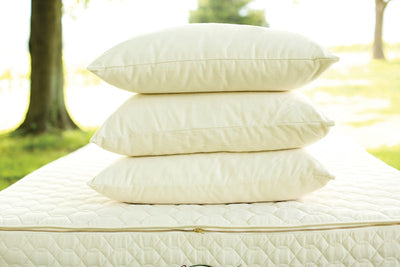 Queen Savvy Rest Organic Wool Pillow