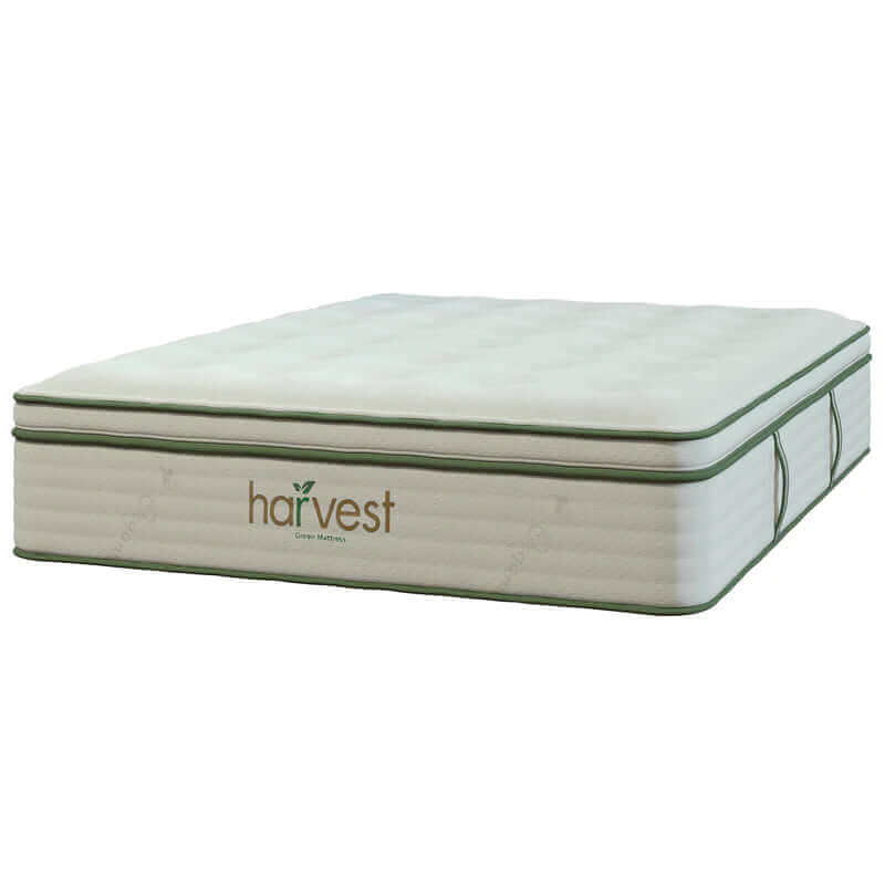 Harvest Green Plush Vegan GOTS certified Pillow Top 13" Mattress.