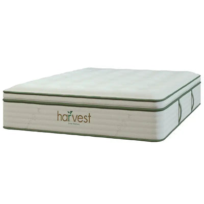 Harvest Green Plush GOTS Certified 13" mattress featuring a pillow top design and eco-friendly materials.