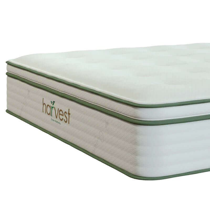 Harvest Green Plush Vegan GOTS certified Pillow Top 13" Mattress.