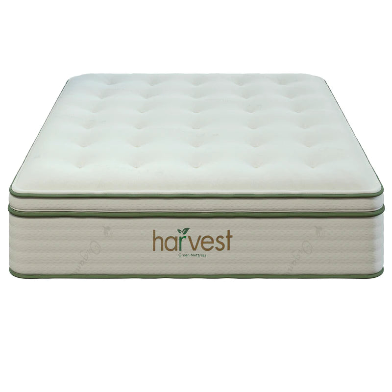 Harvest Green Plush GOTS Certified Pillow Top 13" Mattress.