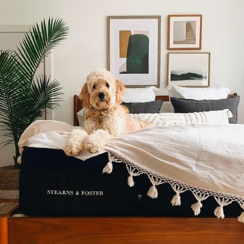 Premium mattress showroom at LA Mattress Store